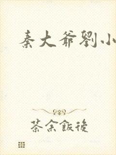 秦大爷刘小静
