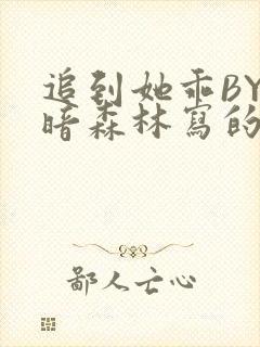 追到她乖BY黑暗森林写的小说封面