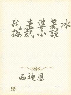 我老婆是冰山女总裁小说