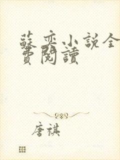 苏奕小说全文免费阅读