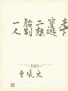 一胎二宝老婆大人别想逃下载