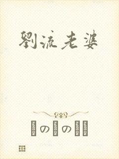 刘流老婆