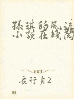 孙琪的风流人生小说在线阅读