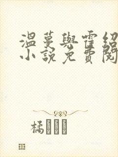 温蔓与霍绍霆的小说免费阅读全文