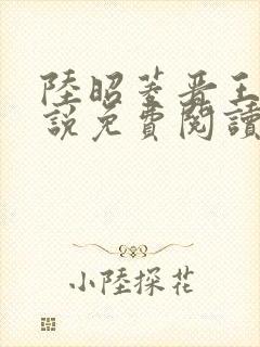 陆昭菱晋王的小说免费阅读