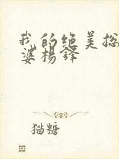 我的绝美总裁老婆杨锋