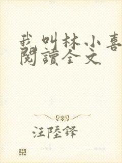 我叫林小喜免费阅读全文