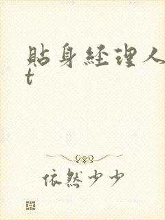 贴身经理人txt