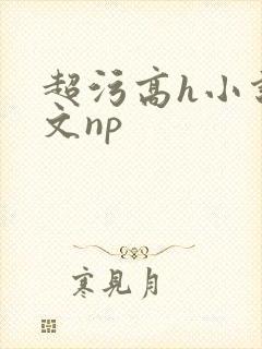 超污高h小说辣文np