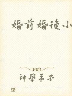 婚前婚后小说封面