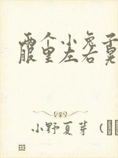 两个小兔子在衣服里左右晃