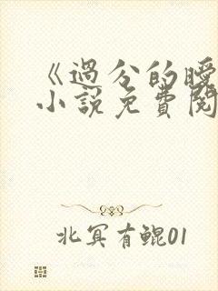 《过分的暧昧》小说免费阅读全文封面