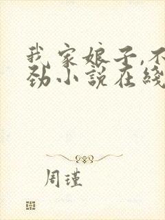 我家娘子,不对劲小说在线阅读