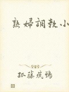 熟妇调教小说