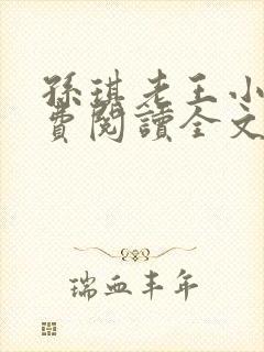 孙琪老王小说免费阅读全文最新章节封面