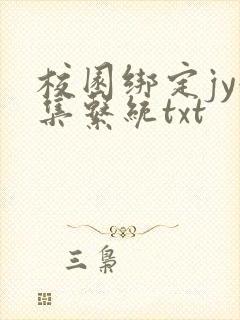 校园绑定jy收集系统txt封面