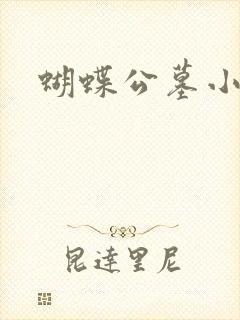 蝴蝶公墓小说