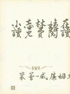 小志林姨在线阅读免费阅读封面
