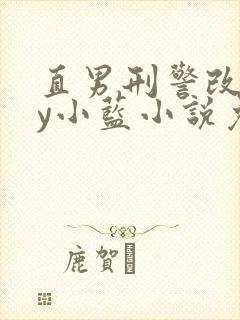 直男刑警改造by小蓝小说免费阅读