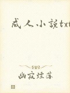 成人小说txt
