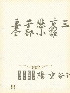 妻子悲哀三部曲全部小说