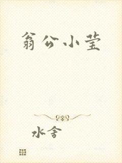 翁公小莹