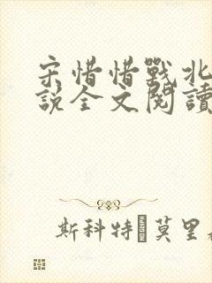 宋惜惜战北望小说全文阅读