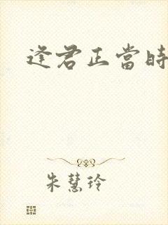 逢君正当时封面
