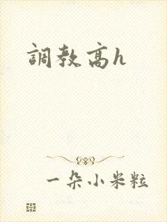 调教高h