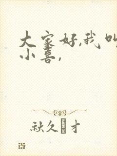 大家好,我叫林小喜,