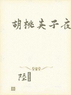 胡桃夹子夜未眠