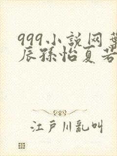 999小说网叶辰孙怡夏若雪