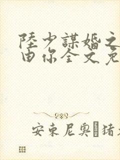 陆少谋婚之婚不由你全文免费阅读