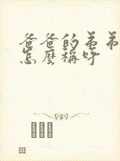 书籍封面