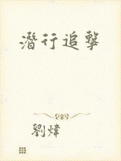 潜行追击