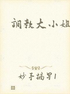 调教大小姐