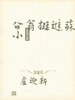 公翁挺进苏玥的小泬封面