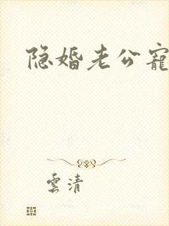 隐婚老公宠翻天