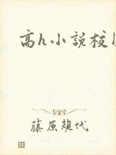 高h小说校园