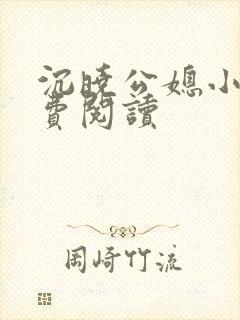 沉晓公媳小说免费阅读