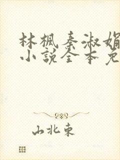 林枫秦淑娟穿越小说全本免费阅读
