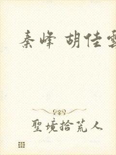 秦峰 胡佳云封面