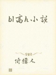 bl高h小说封面