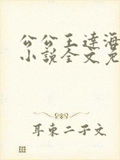 公公王达海芷晴小说全文免费阅读