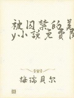 被囚禁的美人by小说免费阅读