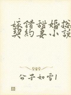 嫁错甜婚总裁的契约妻小说封面