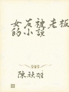 女友被老板夺走的小说
