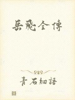 岳飞全传封面