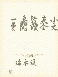 一妻皆夫小说免费阅读全文封面