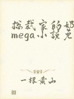 总裁家的奶香omega小说免费阅读